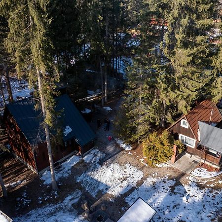 Cabana Adrienne Извору Мурешулуй Экстерьер фото