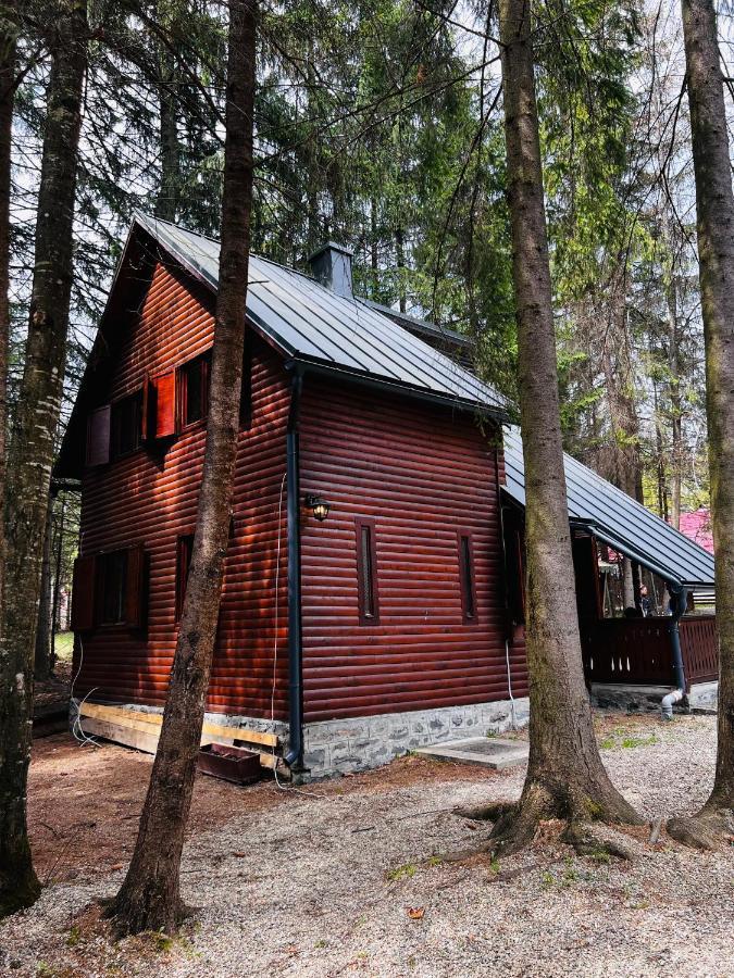 Cabana Adrienne Извору Мурешулуй Экстерьер фото