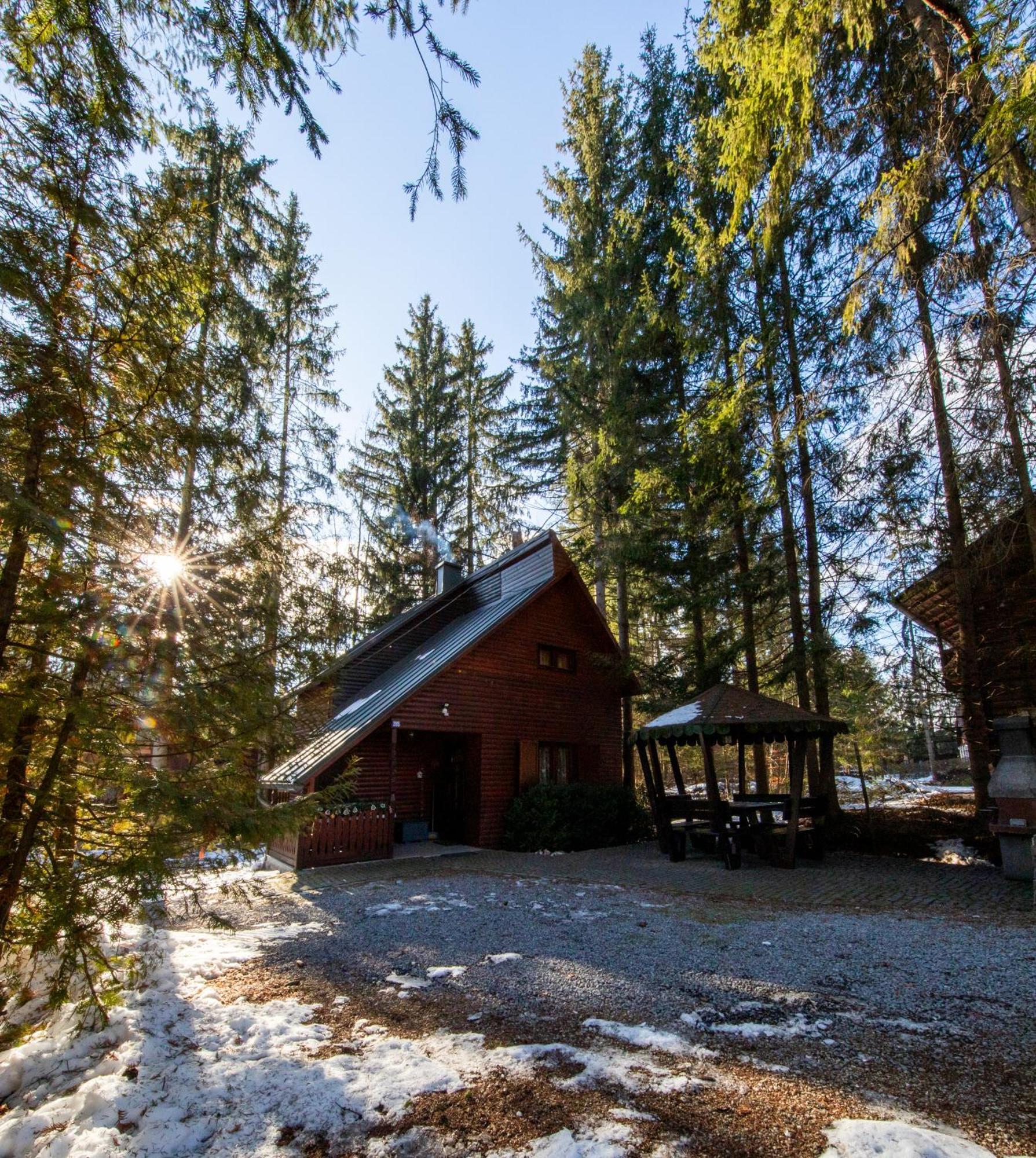 Cabana Adrienne Извору Мурешулуй Экстерьер фото